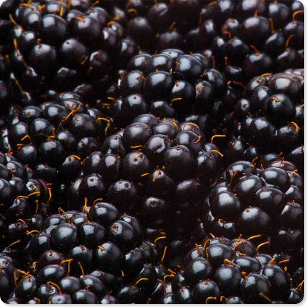 Blackberries