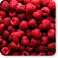 Frozen berries HoReCa Raspberries