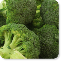 Frozen vegetables HoReCa Broccoli