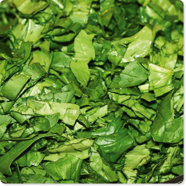 Cut Spinach