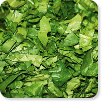 Frozen vegetables HoReCa Cut Spinach