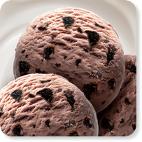 Ice Cream HoReCa “Dark chocolate” Ice Cream