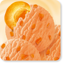 Ice Cream HoReCa “Golden Apricot” Ice Cream